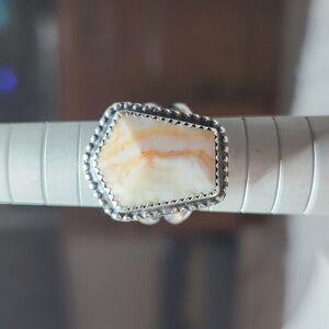 Handmade petfied wood sterling silver ring